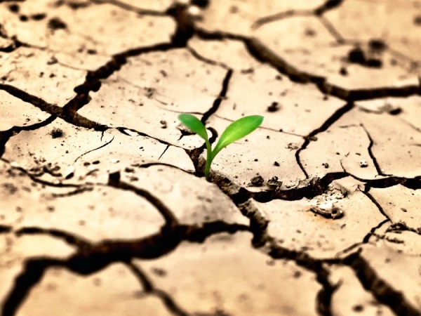 17 июня - Всемирный день борьбы с опустыниванием и засухой