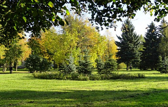 Любашинский сад
