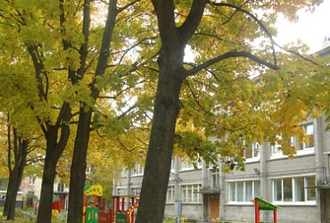 Детский сад № 16 Василеостровского района – Санкт-Петербург