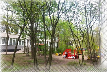 Детский сад № 7 Красносельского района – Санкт-Петербург